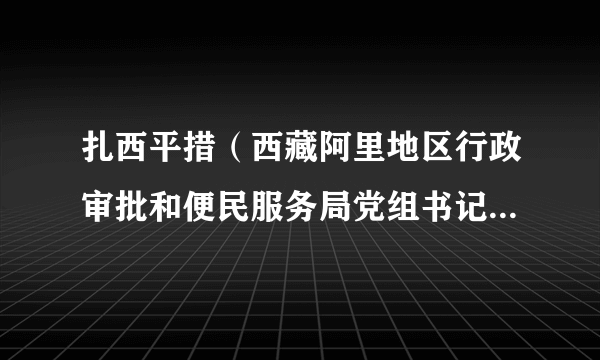 扎西平措（西藏阿里地区行政审批和便民服务局党组书记、副局长）