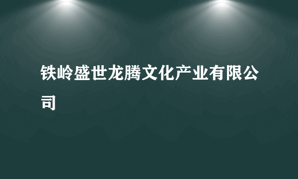 铁岭盛世龙腾文化产业有限公司