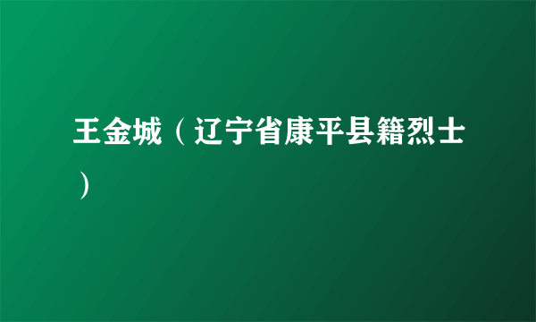 王金城（辽宁省康平县籍烈士）