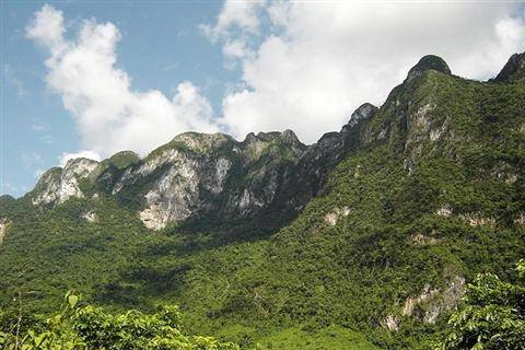 九龙山（湖北省麻城市山脉）