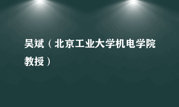 吴斌（北京工业大学机电学院教授）