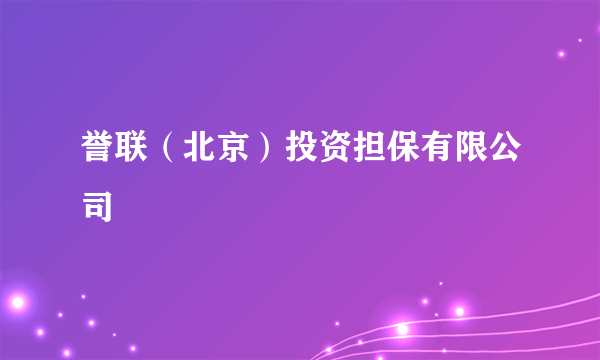 誉联（北京）投资担保有限公司