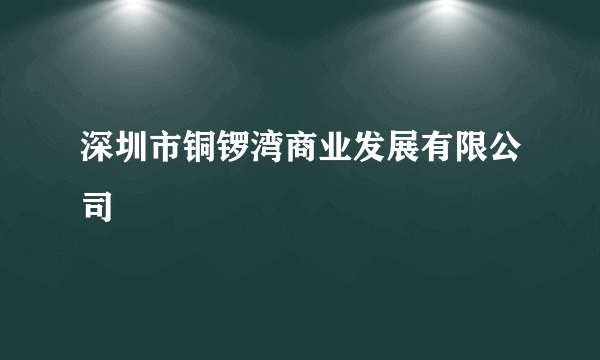 深圳市铜锣湾商业发展有限公司