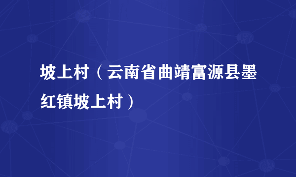 坡上村（云南省曲靖富源县墨红镇坡上村）