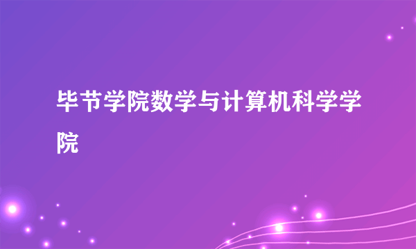 毕节学院数学与计算机科学学院