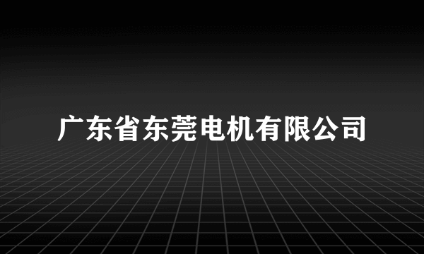 广东省东莞电机有限公司