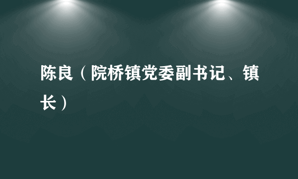 陈良（院桥镇党委副书记、镇长）