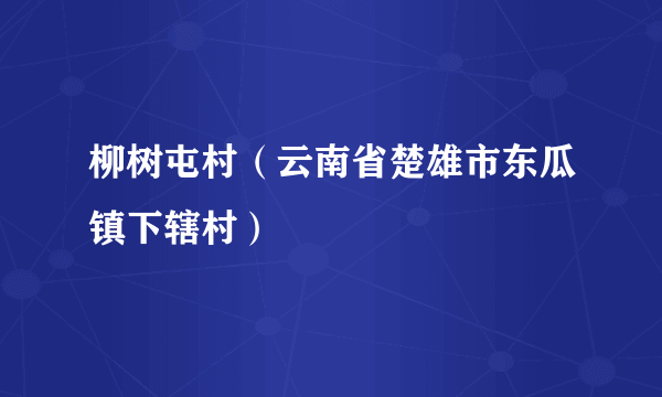 柳树屯村（云南省楚雄市东瓜镇下辖村）