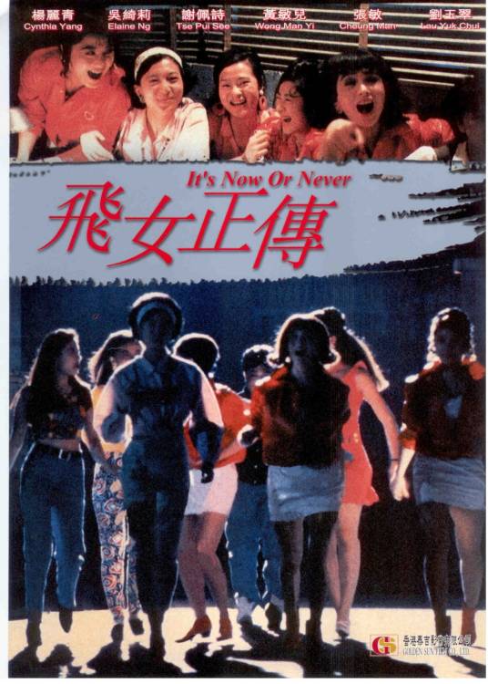 飞女正传（1992年陈国熹执导的剧情电影）