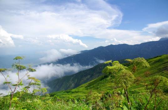 白马山（云南省富源县白马山）