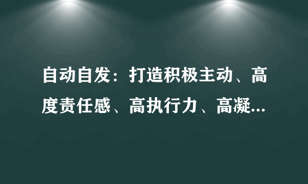 自动自发：打造积极主动、高度责任感、高执行力、高凝聚力的团队