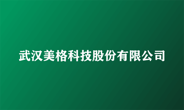 武汉美格科技股份有限公司