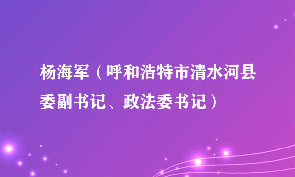 杨海军（呼和浩特市清水河县委副书记、政法委书记）