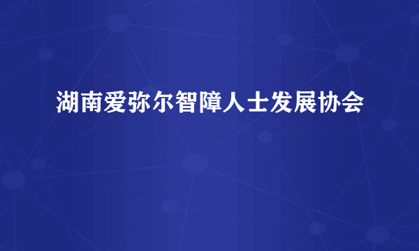 湖南爱弥尔智障人士发展协会