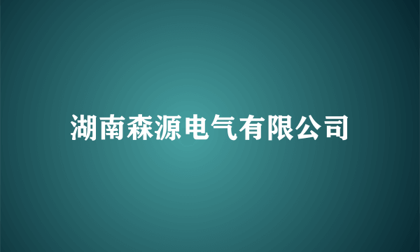 湖南森源电气有限公司