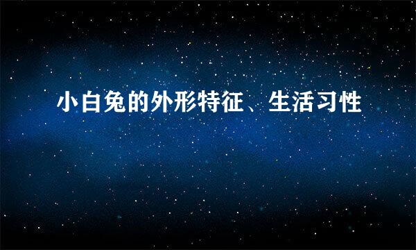 小白兔的外形特征、生活习性