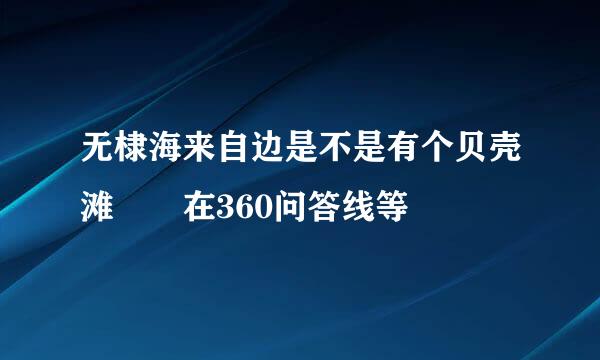 无棣海来自边是不是有个贝壳滩  在360问答线等