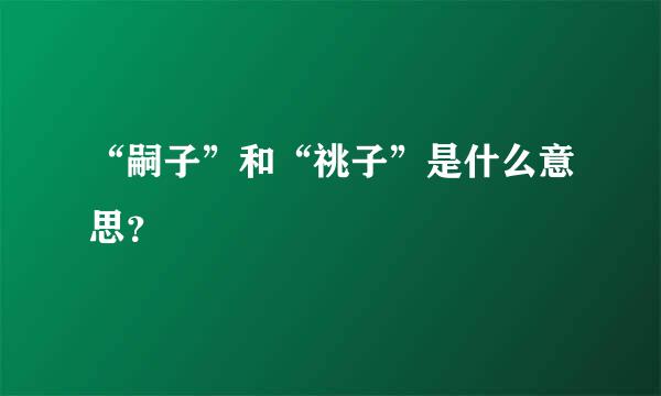 “嗣子”和“祧子”是什么意思？