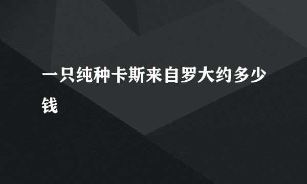 一只纯种卡斯来自罗大约多少钱