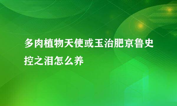 多肉植物天使或玉治肥京鲁史控之泪怎么养