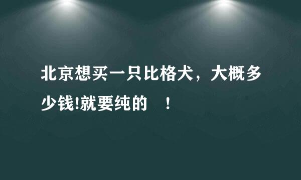 北京想买一只比格犬，大概多少钱!就要纯的 !