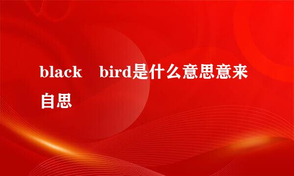 black bird是什么意思意来自思