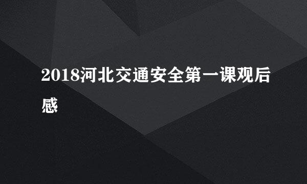 2018河北交通安全第一课观后感