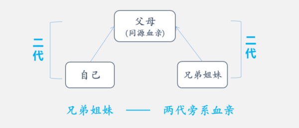 这样的关系属于三代以内旁系血亲么