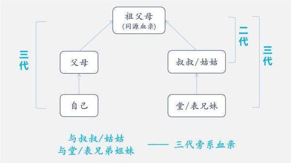 这样的关系属于三代以内旁系血亲么