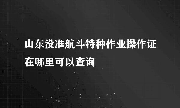 山东没准航斗特种作业操作证在哪里可以查询