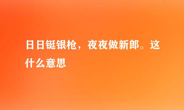 日日铤银枪，夜夜做新郎。这什么意思