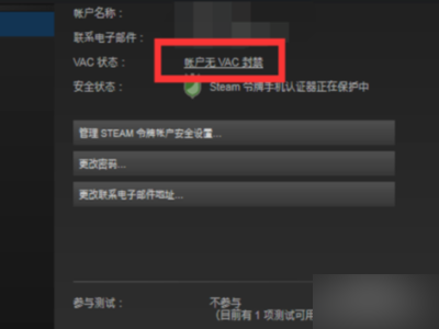 在板吃再武水面限套例游戏里显示你被steam禁封但没有没有时间这意味着什么？