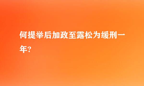 何提举后加政至露松为缓刑一年?