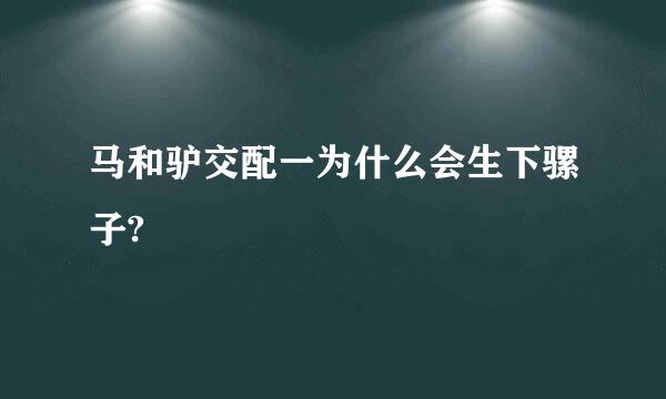 马和驴交配一为什么会生下骡子?