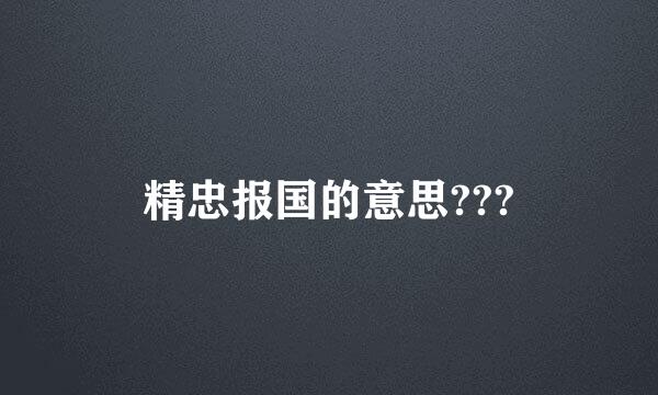 精忠报国的意思???