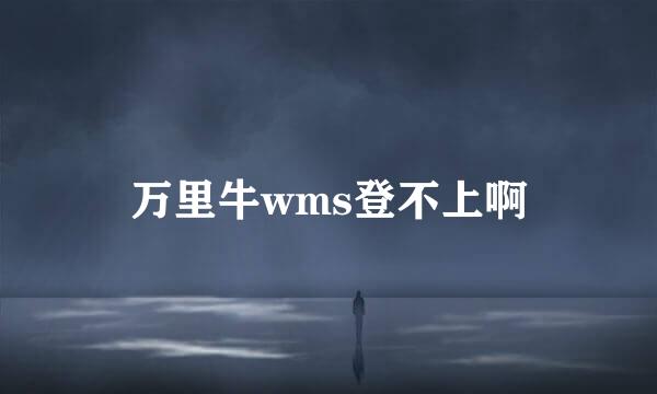 万里牛wms登不上啊