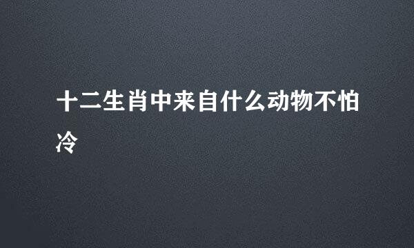 十二生肖中来自什么动物不怕冷