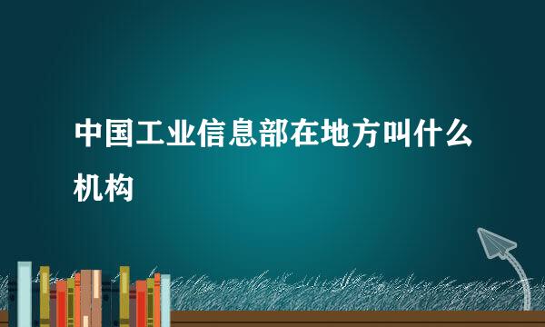 中国工业信息部在地方叫什么机构