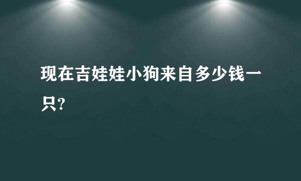 现在吉娃娃小狗来自多少钱一只?