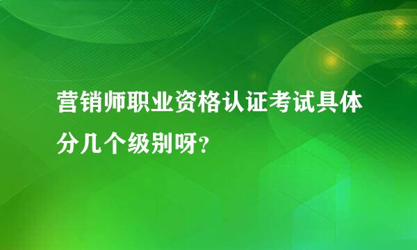 营销师职业资格认证考试具体分几个级别呀？