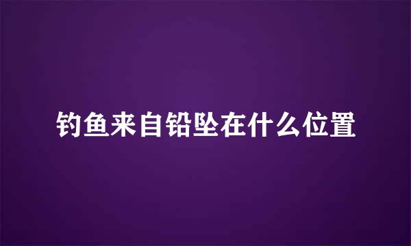 钓鱼来自铅坠在什么位置