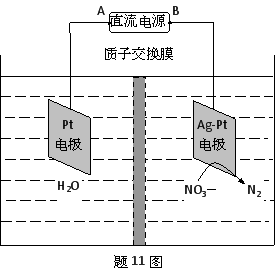 反硝化作用的原理