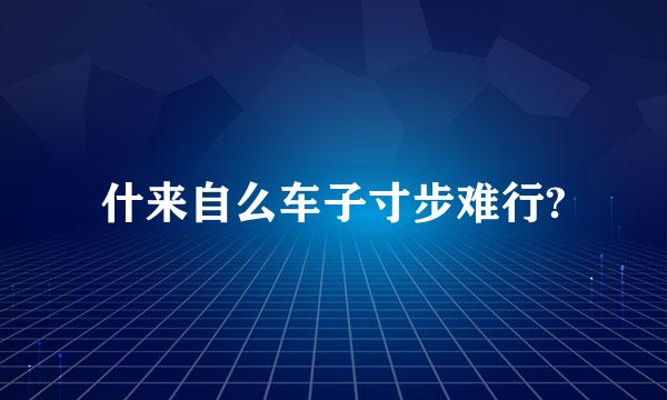 什来自么车子寸步难行?