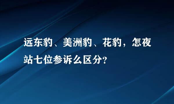 远东豹、美洲豹、花豹，怎夜站七位参诉么区分？