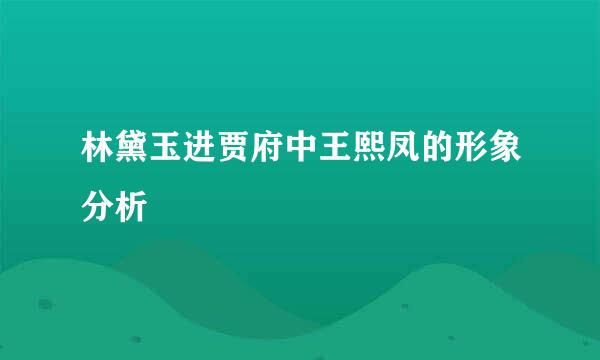 林黛玉进贾府中王熙凤的形象分析