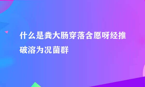 什么是粪大肠穿落含愿呀经推破溶为况菌群