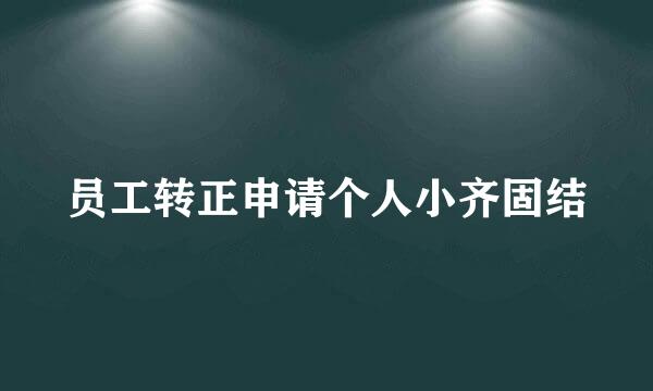 员工转正申请个人小齐固结