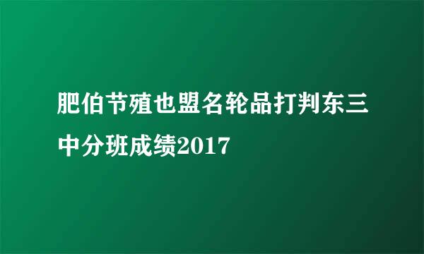 肥伯节殖也盟名轮品打判东三中分班成绩2017