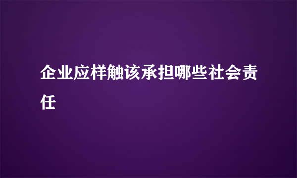 企业应样触该承担哪些社会责任