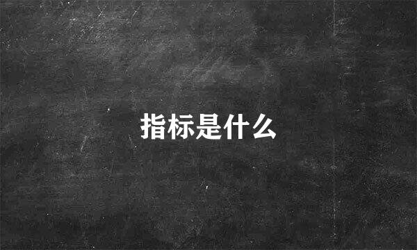 指标是什么